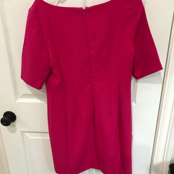 Ann Taylor Shortsleeve Fuscia Dress - Picture 6 of 8
